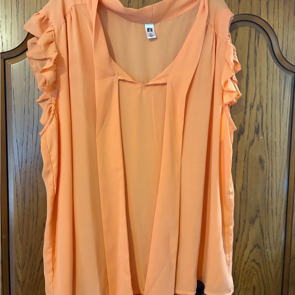 Orange Ruffled Sleeve Blouse